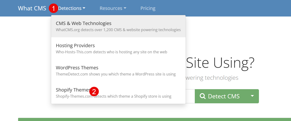 {Detect Shopify Theme?}