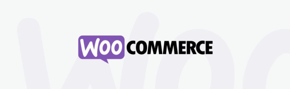 9 – Woocommerce أهم إضافات ووردبريس