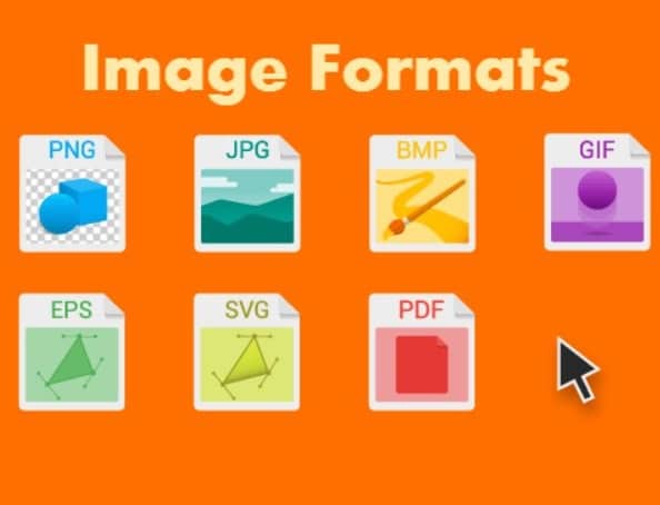 الفرق بين صيغ الصور المختلفة GIF JPG PNG SVG WebP