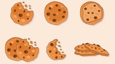 أفضل إضافات الكوكيز cookies في ووردبريس
