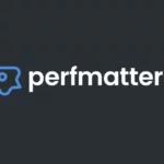 شرح-اضافة-Perfmatters-لتسريع-الموقع-والتحكم-في-موارد-الصفحة