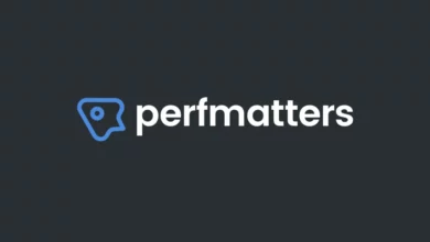 شرح-اضافة-Perfmatters-لتسريع-الموقع-والتحكم-في-موارد-الصفحة