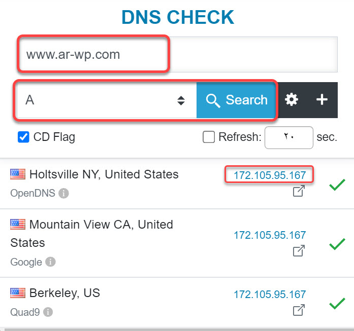 كيفية معرفة الـ IP الذي يشير إليه اسم الدومين باستخدام DNS Checker